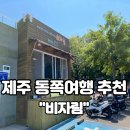제주도 동쪽여행 비자림숲 입장료 소요시간 주차장 천년의숲 아이랑 산책후기!