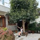 우정일식당 이미지