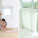 스테이인그로브 이미지