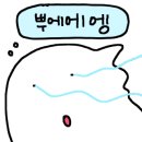 아이컬리티 네이버블로그