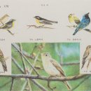 ﻿어제의 새들과 가만히 Tracing Birds :: 김지민展 이미지