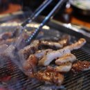 막창도둑 이미지