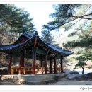 신선1호 이미지