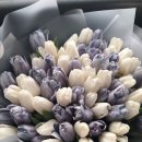 엄마사랑 이미지