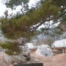 덕산온천타워호텔 이미지