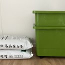 화분들닷컴 티스토리