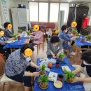 상대노인정 이미지