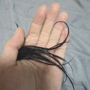 고운빛 | 쥬리코스메틱 콜라겐샴푸 고운빛콜라겐 샴푸 후기