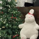 진주여자고등학교 앞 이미지