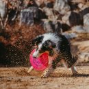 바닐라브릭 이미지