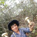 이일재농장 이미지