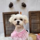 사랑 미용실 이미지