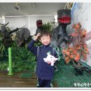경산공룡박물관 이미지