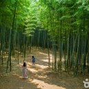 숨쉬는봄 CBC뉴스