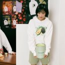 삼화페인트 이미지