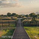 을숙도대교 공중화장실 | 걷기 좋은 여행지 | 가을 바다와 철새 도래지 따라 걷기 좋은 길, 부산 남파랑길 5코스