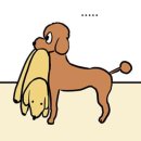 즐거운그루밍 이미지