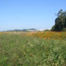 꽃내음마당공원 앞 이미지