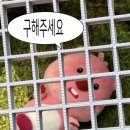 커피스트