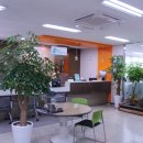 롯데쇼핑(주)롯데마트서초점 이미지