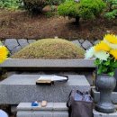 주식회사 산사랑 - 충주시 | 주식회사 산사랑
