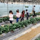 우남체육관 이미지