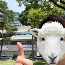 성신상사 | [대학원일기] 이때가 시작이었다. 남편이 '제발 그만 먹어'라고 한 것이_ 2025.07.06 ~ 2025.07.13.