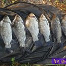 대물낚시 이미지