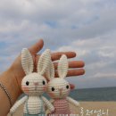 로저언니