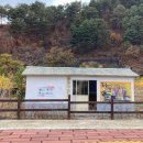 봉화식육점