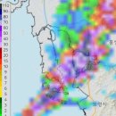 해제-1호 | 25년 쭈꾸미 금어기 해제 첫날 대박조황 발키리7호 후기 [25.09.01]
