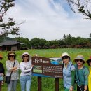 일구 4토 8월 트레킹은 두 탕(서출지와 황성공원 /천마산 힐링소리길)... 이미지