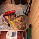 인정상회 이미지