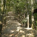 엄사초등학교 이미지