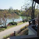 코쿤투어(cocoontour) 이미지