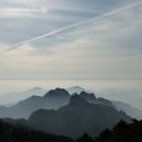 번개반점 이미지