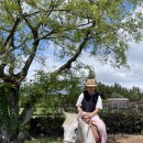 그린카마스타 | 제주도 렌트카 할인 꿀팁 롯데렌터카 G카패스 렌터카 추천