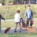 개와고양이 반려동물원 티스토리