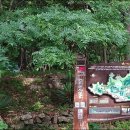 새마을로-7 이미지