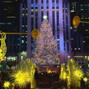 자람독서회(상반기) 이미지