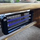 다온팬션2 | 강원도여행 •• 동해숙소 •• 다온 스테이 펜션 후기 :: 동해 숙소 추천