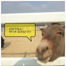 일호축사 이미지