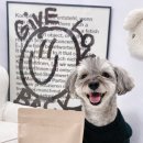 바른한끼 이미지