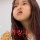 돼지여행
