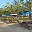 세븐일레븐 율포점 이미지