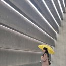 인필름