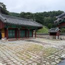 윤자운 사우 이미지