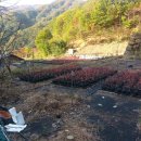 병부농장 이미지