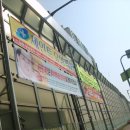 성성우성@ 이미지