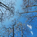 두류공원 이미지